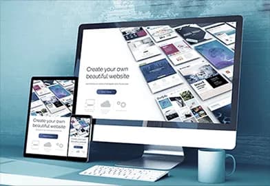 Your Next Web Development Agency
